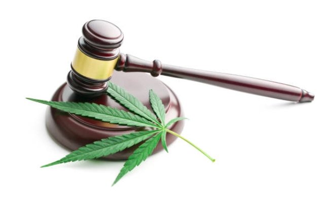 Legalizing Recreational Cannabis