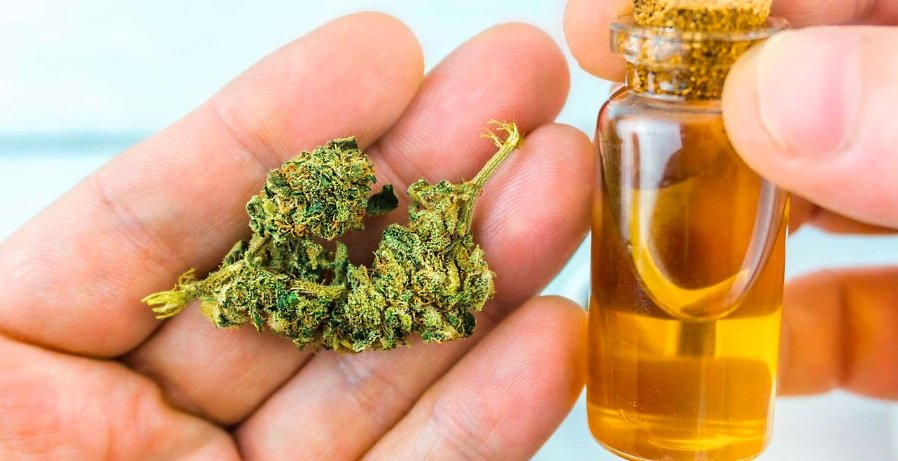 Medical Cannabis Access