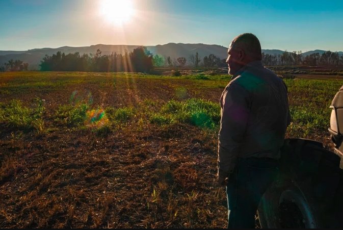 Vermont Cannabis Farm Earns Sun+Earth