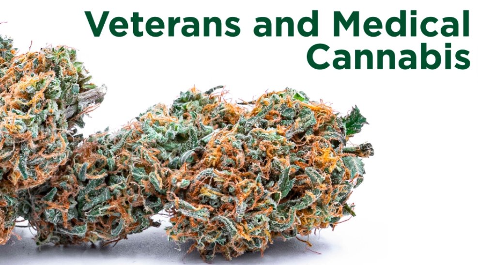 CBD Study for Veterans Launched