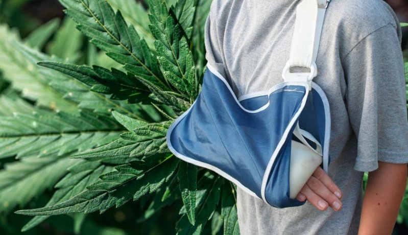 How Cannabinoids Could Help Heal Bone Fractures