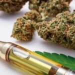 Legal Cannabis Market from Illicit Competition