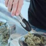 Virginia to Launch Recreational Marijuana