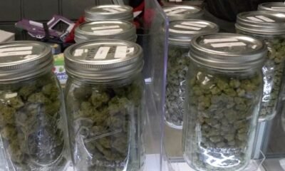 New Brunswick company fined for operating illegal cannabis store