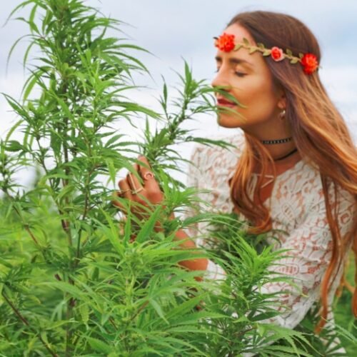 A New Era for Cannabis in Germany
