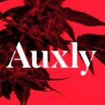 Auxly cannabis financial success