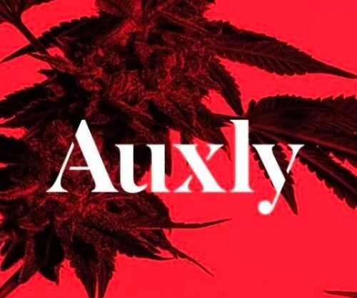 Auxly’s Financial Fortitude: Rising Sales and Diminishing Losses in 2023