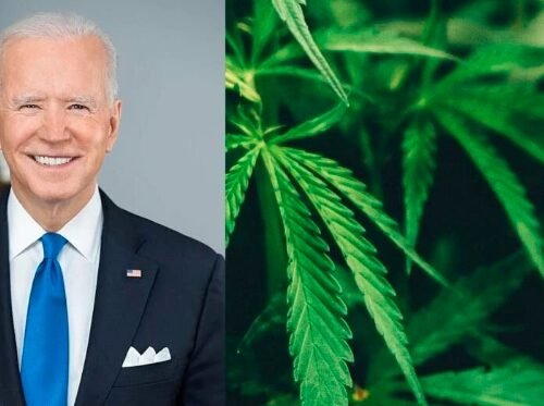 Biden Calls for Cannabis Reform in Historic State of the Union Address