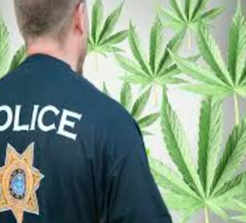 California’s Cannabis Conundrum: Employment Protections for Law Enforcement Under Scrutiny