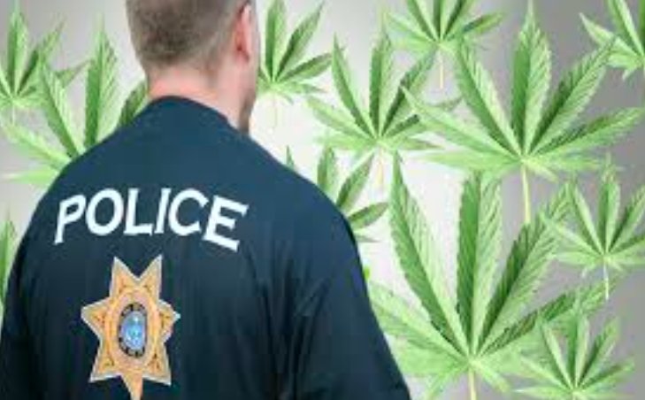 California law enforcement cannabis debate