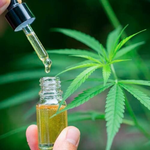 Cannabis Extracts Lead the Growth of Legal Sales in 2022-2023