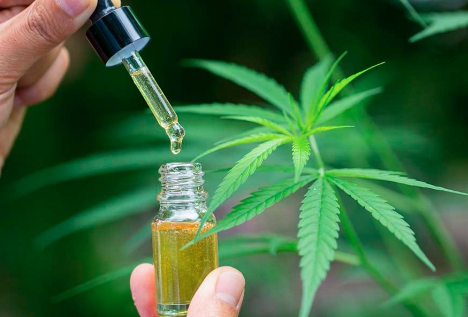Cannabis Extracts Lead the Growth 