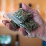 Cannabis Sales in Alberta