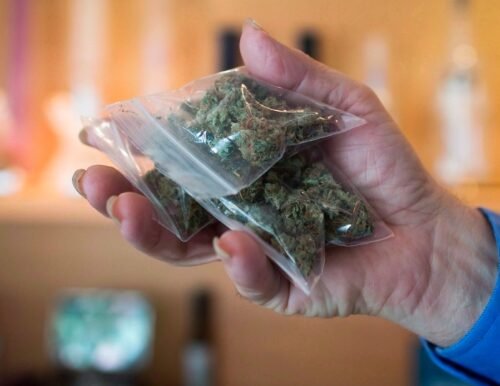 Cannabis Sales in Alberta Surpass $600 Million, AGLC Reports First Profits