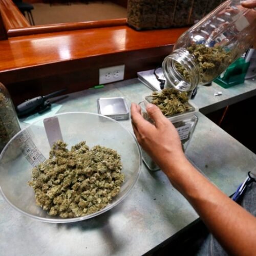 Virginia Governor Vetoes Bill to Legalize Cannabis Sales