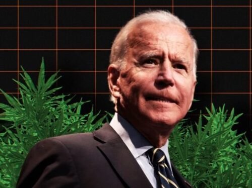 At the Crossroads: DEA and Biden Administration Clash Over Marijuana Policy