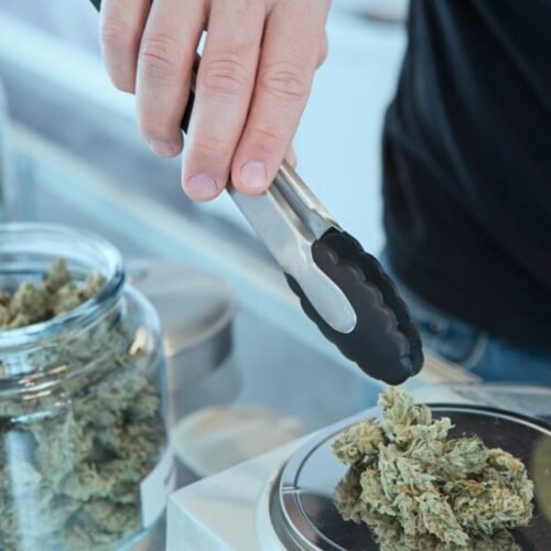 Delaware’s Bold Move: Introducing Banking Protections for Marijuana Businesses
