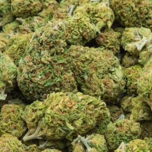 ECS Botanics unveils new consumer strategy to leverage its unique IP in the cannabis market