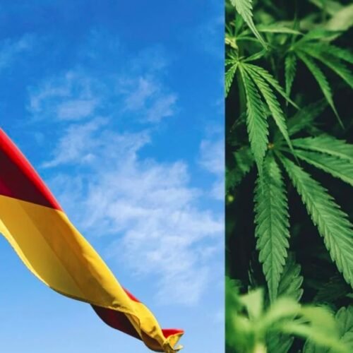Germany’s Pledge to Cannabis Reform: Averting a Legislative Delay