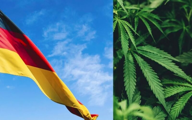 German cannabis policy reform