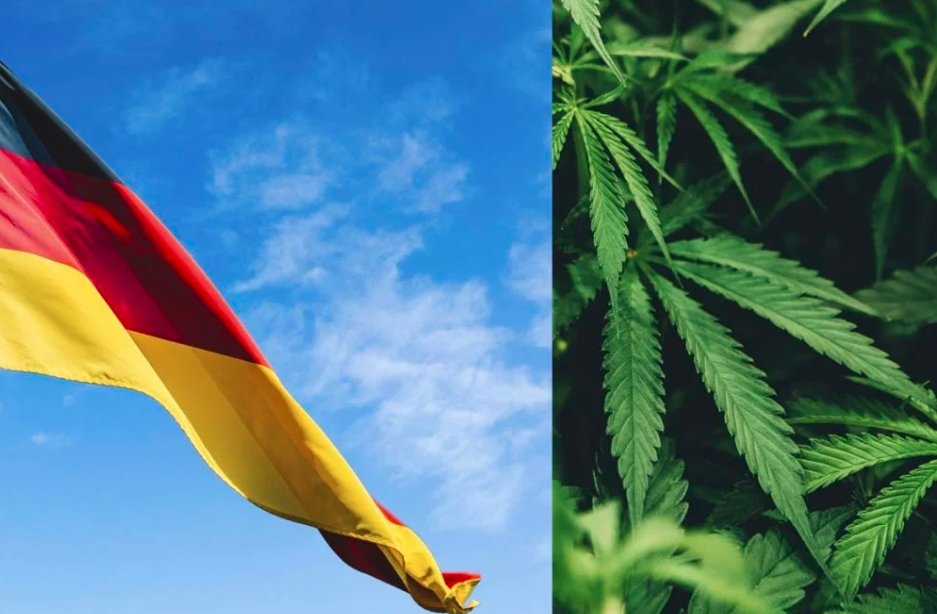 German cannabis policy reform