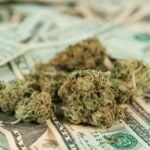 IRS cannabis business transactions