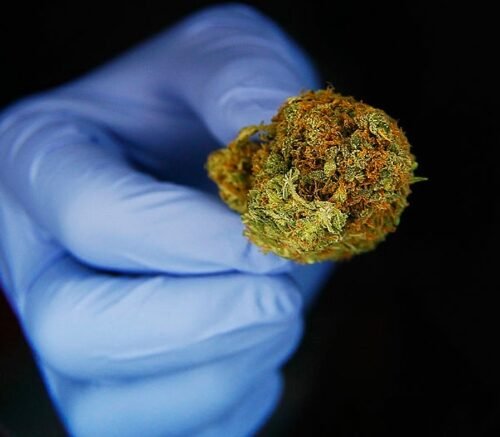 Idaho Lawmaker’s Attempt to Punish Marijuana Users with $420 Fine Fails to Advance