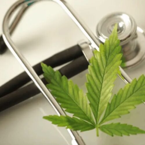 Kansas’ Controversial Path to Medical Marijuana: A Pilot Program Under Fire