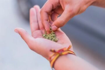 Legal Cannabis Use on the Rise in Australia, New Data Shows