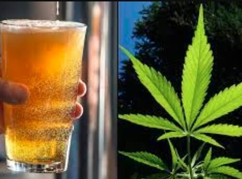 Minnesota’s Legislative Move: Balancing Booze and THC Beverages