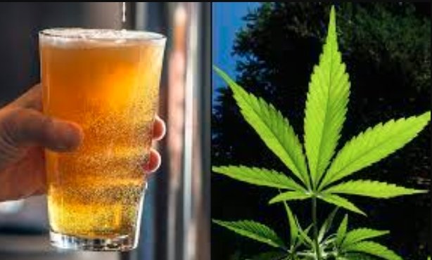 Minnesota bar THC alcohol legislation