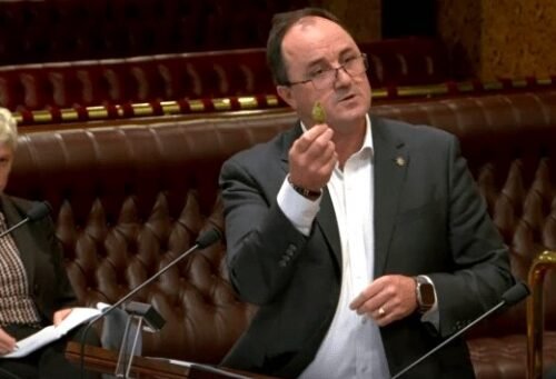 New South Wales Embarks on Landmark Inquiry into Adult Use, Led by Jeremy Buckingham