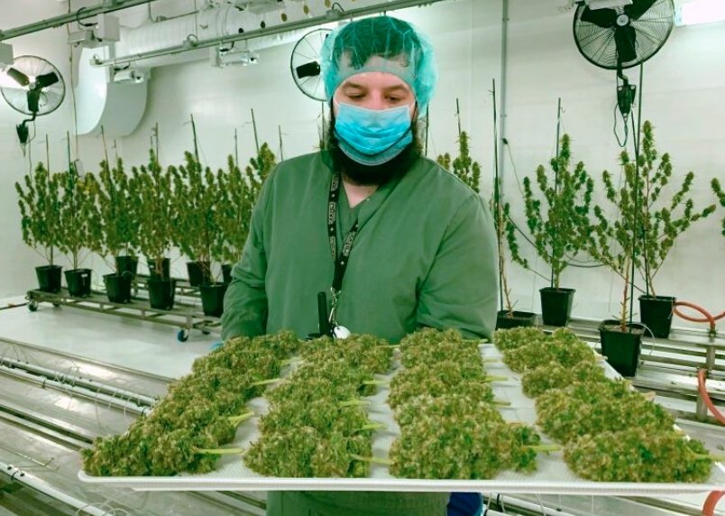 Nova Scotia cannabis industry growth