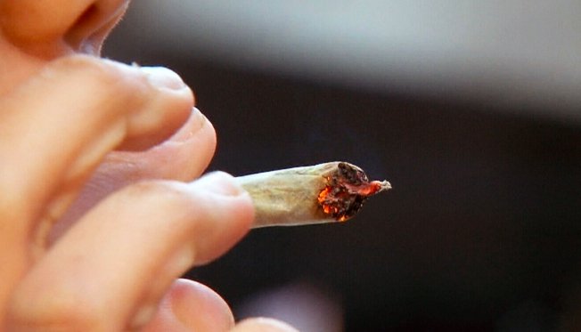 Ontario to ban cannabis