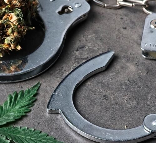 South Dakota’s Stride: Tightening Hemp Laws and Empowering Law Enforcement