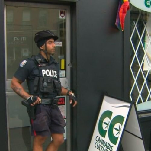 Crackdown on Cannabis Crime: Toronto Police Make Key Arrest in Store Robberies