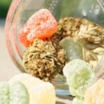 cannabis edibles public health concern