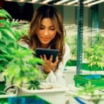 cannabis industry community engagement