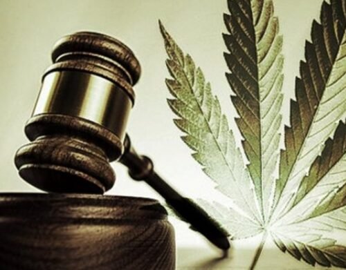 A New Era in Cannabis Policy: Shifting Perspectives and Legislation