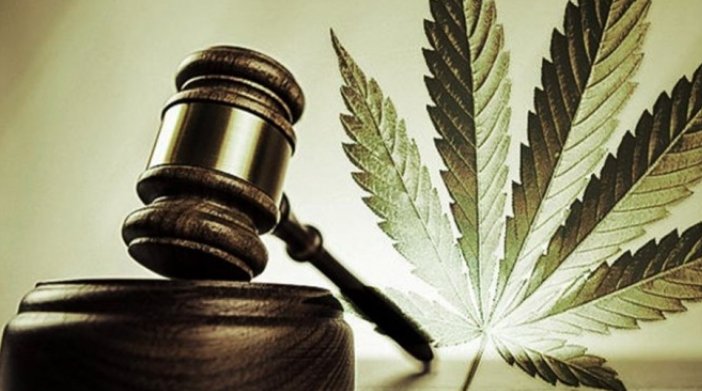 cannabis policy reform advocacy