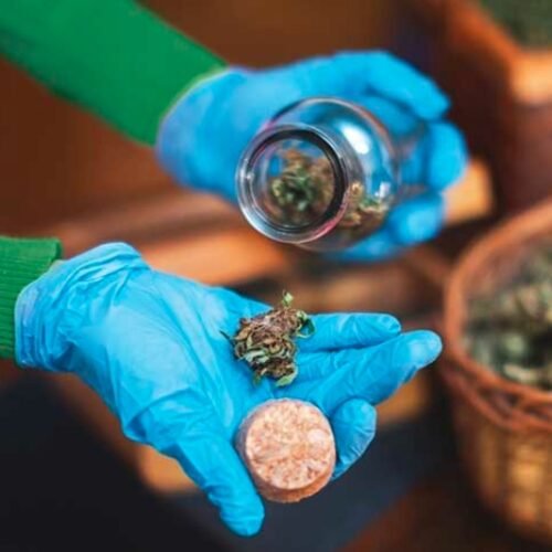 Federal OSHA Officials Host Event on Marijuana Industry Worker Protections as More States Legalize