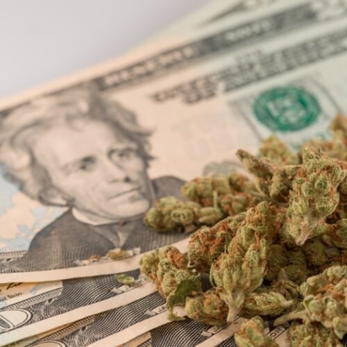 Banking on Change: Yellen Advocates for Marijuana Banking Reform