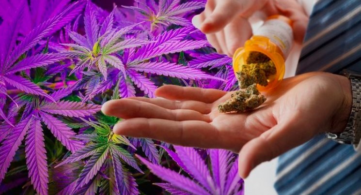 American cannabis legalization trend