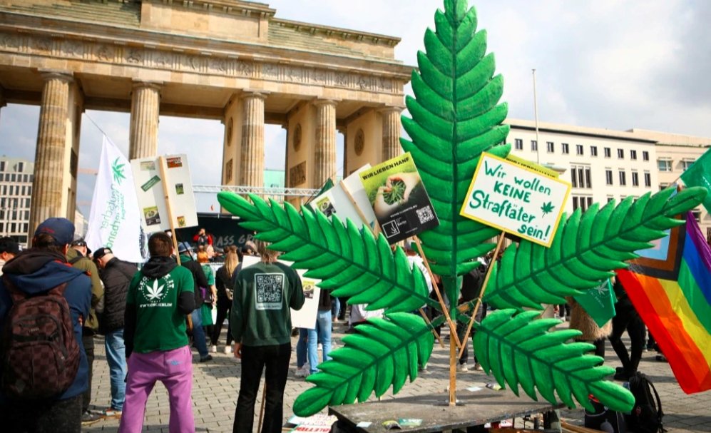 Berlin cannabis legalization