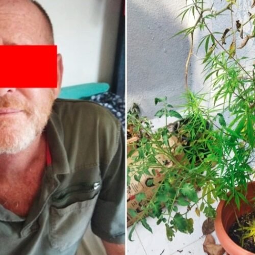 British National’s Goa Ganja Garden Garners Grief