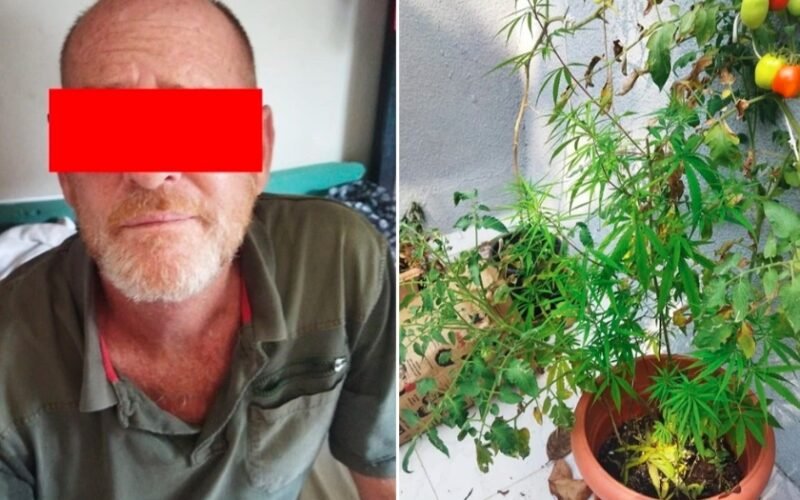 British national arrested cannabis Goa