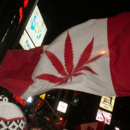 Navigating the Green Wave: Canada’s Cannabis Landscape Post-Legalization