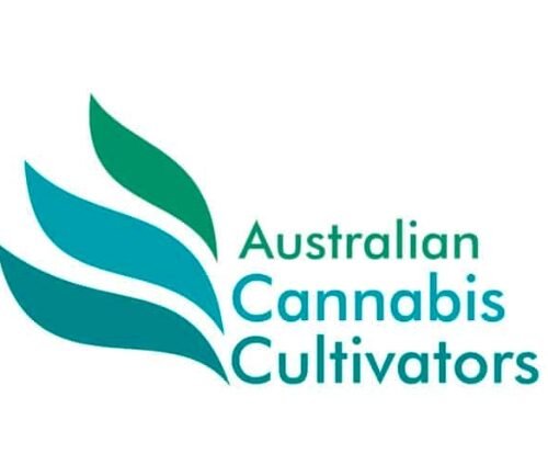 CannMart’s Historic Leap: First Cannabis Consignment Lands in Australia