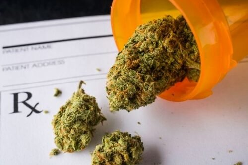 Pioneering the Path to Harm Reduction: Cannabis in the Spotlight