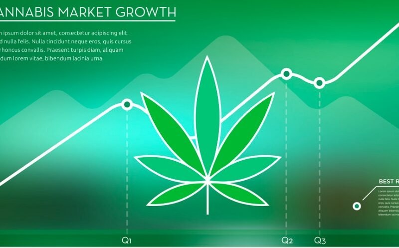 Cannabis market growth